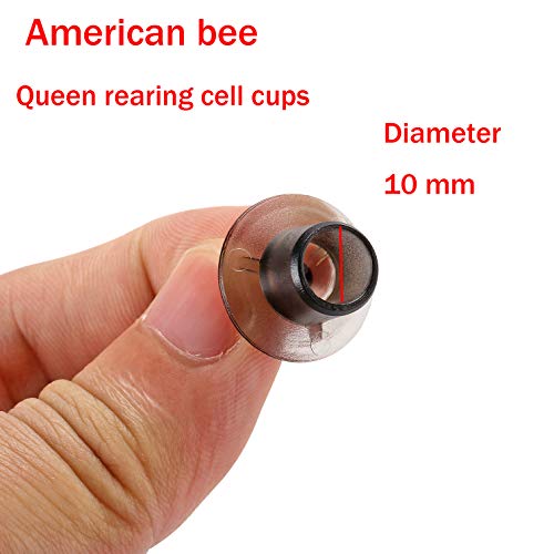 200-pcs-JZBZ-Queen-bee-Cell-Cups-JZ-BZ-Beekeeping-Apiculture-Queen-bee-Rearing-Supplies-JZBZ-Cell-Cups
