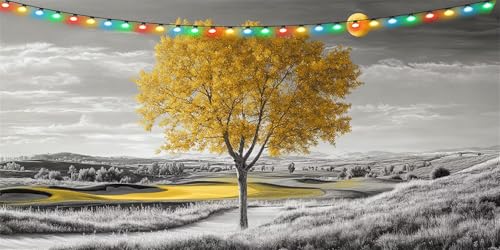 Broderie Diamant Kit Complet Accessoires 40x80cm pour Finir Facilement une Toile Grand Format