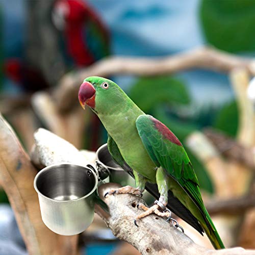 Bac-kitchen Bird Water Feeder Dishes Bird Bowl Cage Hanging Bowl Stainless Steel Perches Play Stand with Clamp Bird Cage Coop Cups Water Food Dish Feeder Bowl Birdcage (Clamp Cup)