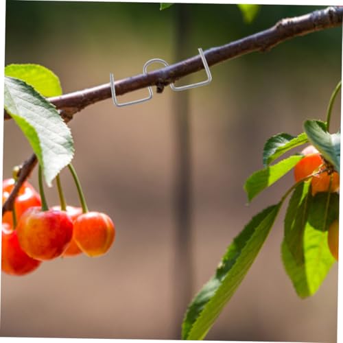Clips de pliage pour branches de plantes avec angle de cintrage précis - 5