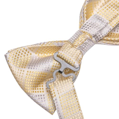 Image of Dubulle Mens Paisley Striped Bowtie Set Pre-tied Bowtie for Men and Pocket Square Set Wedding Business