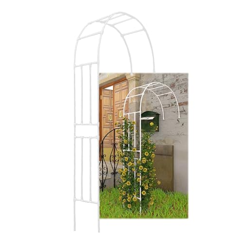 Arche de jardin en métal PE pergola pour plantes grimpantes et tonnelle