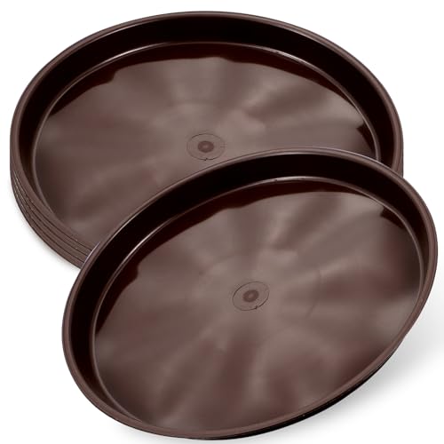 Angoily 5 vX`bNԖ~? a F ی^󂯎M Op AؔpgC rΉŐRh~ K[fAp