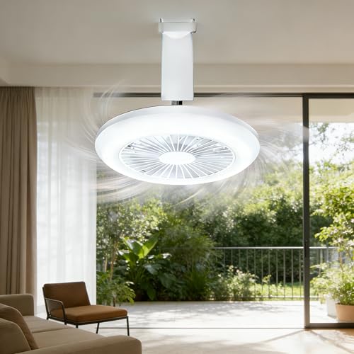 �t�@���t���V�[�����O���C�g 6�� �V�[�����O�t�@�����C�g 4�� 6�� 3000lm���P�x Alexa�Ή� �T�[�L�����[�^�[ ��@ DC���[�^�[ �X�}�z �����R�����u���� ���K�i���� ���F ���K�i���ʒ��� �Ɩ���� �V��Ɩ� ��C�z�� ��铔 �ȒP��t�^�C