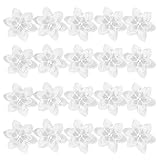 Heiqlay Weißes Spitzenband, Spitzenborte Perle, blumenspitzenband, Spitzenstoff weiß, Gesticktes Nähband für Crafts DIY Dekoration (1 m, 20 Blumen)