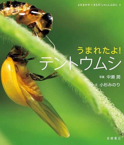 うまれたよ！ テントウムシ よみきかせ いきものしゃしんえほんのサムネイル