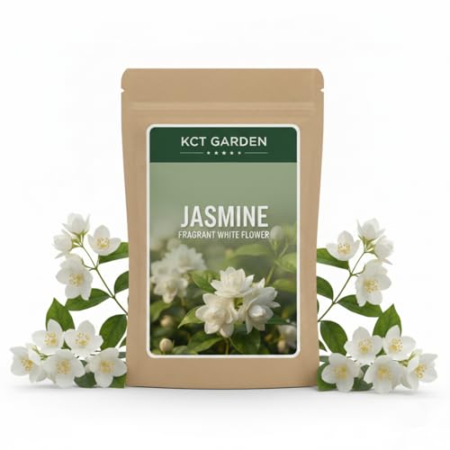 100+ Jasmine Seeds for Planting for Patio Pots Outdoor Beds Raised Planters or Starter Trays Fragrant Flower Project for Balcony Border Entryway or Yard