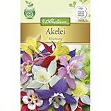 Chrestensen Akelei 'Mischung'