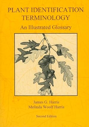 Plant Identification Terminology: An Illustrated Glossary