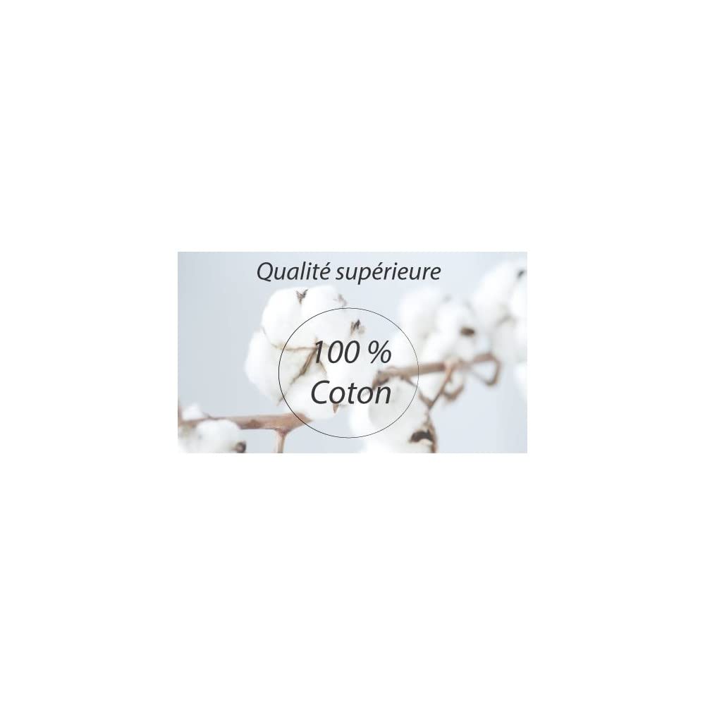 Alpes Blanc Set di 4 federe per cuscini, 100% cotone, dimensioni: 60 x 60 cm