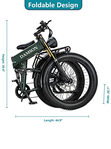 Damson Electric Bike 1000W 48V 20Ah/17.5Ah Removable Battery Long Range Mountain Electric Bicycle Up To 30Mph All Terrain Fat Tire Electric Bicycles With Full Suspension & Dual Hydraulic Disc Brake #TOP7