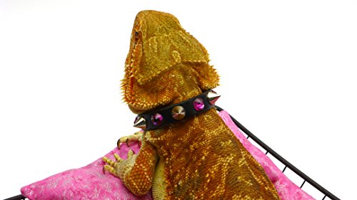 Leather Reptile Collar; Studs And Pink Rhinestones, 5" Neck #TOP5