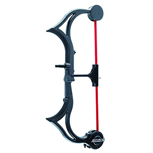 Archery Training Device