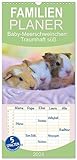 meerschweinchen baby kaufen frankfurt FANTASTISCHE BILDER - Dieser Planer ist nicht nur eine nützliche Hilfe im Alltag, sondern schmückt gleichzeitig Ihr Zuhause. Ideal auch als Geschenk.