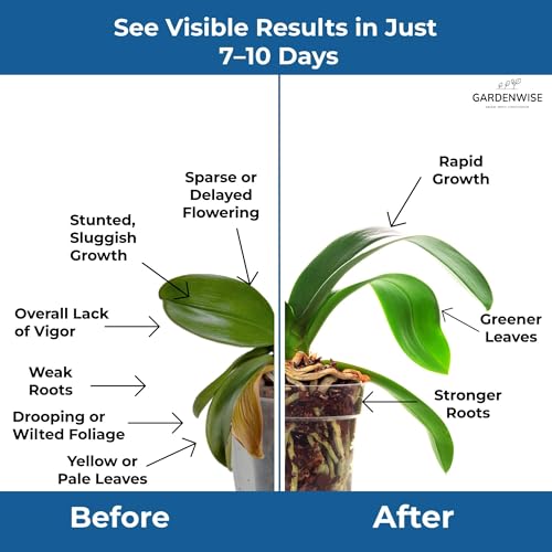 Gardenwise 20-20-20 Water-Soluble Fertilizer – Powder for Liquid Plant Food f...