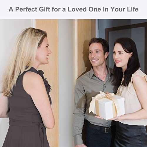 Ravmix Silk Pillowcase For Hair And Skin With Hidden Zipper, Both Sides 21 Momme Silk Pillow Case, Standard Size 20×26 Inches, 1Pcs, Silver Grey #TOP6