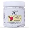 Little Birdie Sculpture Paste Snow Spread 160gm | DIY 3D Relief Art Craft for Painting, Modeling, Texture Effects, Snow Décor, Home Crafts, Creative Hobby for All