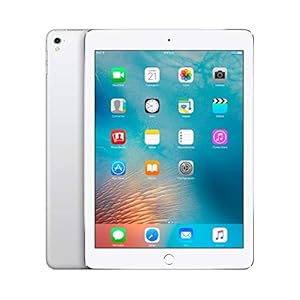 Apple iPad Mini 4 64GB Wi-Fi – Plata (Reacondicionado)
