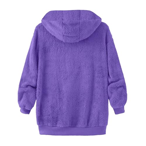 Girls Fleece Jacket Sherpa Warm Winter Zip Up Coat Hooded Coat Sweatshirt Windproof Casual Outwear Clothes With Pockets3