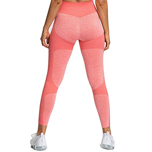 SADA72 Leggings mujer, sin costuras, entallados, para yoga, fitness, gimnasio, entrenamiento, running, elásticos, yoga, fitness, sexy, leggings rojo M