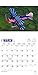 Airplanes - 2016 Calendar 12 x 12in