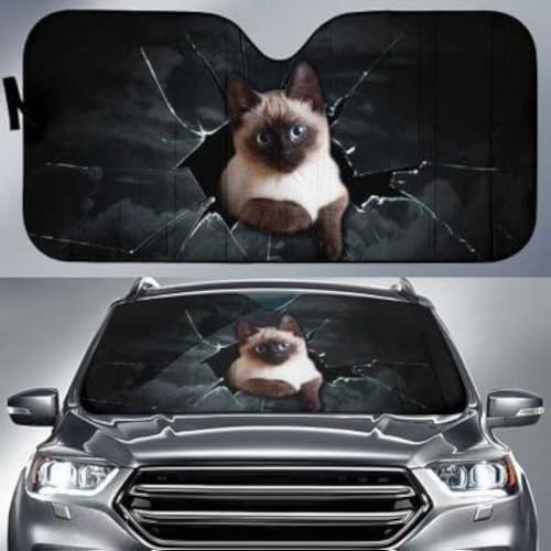 Pare-soleil voiture universelle chat siamois pliable taille M pour pare-brise intérieur