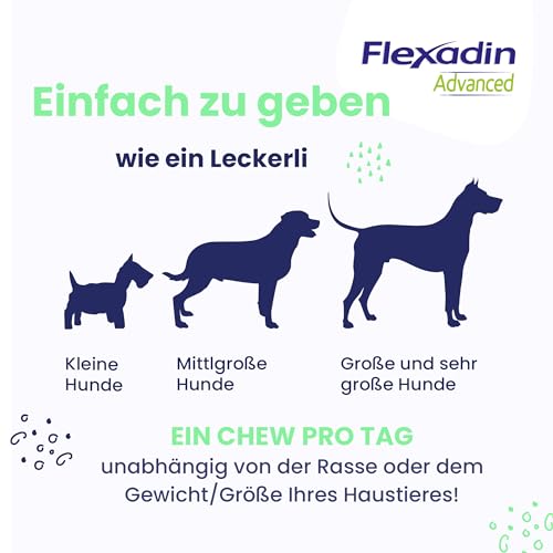 Vetoquinol Flexadin Advanced für Hunde | Doppelpack | 2 x 60 Chews | Ergänzungsfuttermittel zur Unterstützung der Gelenkgesundheit | Mit immunaktivem Kollagen, Omega-3 & Vitamin E