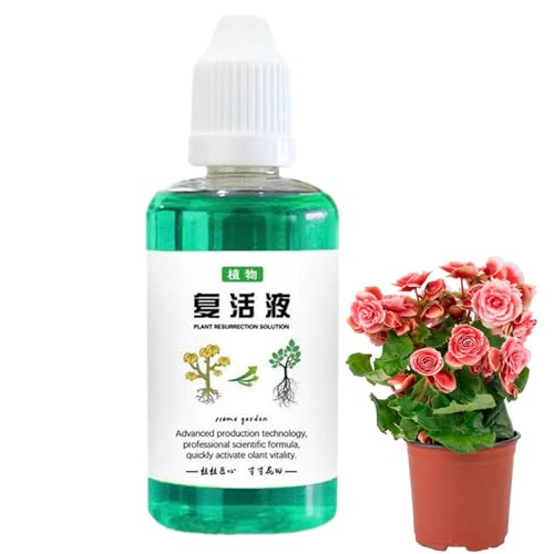 Krujecnt [gu[Xg Ap Ah{t t̔엿 A̍h Ap{t AT{e荪ԗp엿 50ml AAu[XgA~m_ZktH[~ A K[f |p  c ̔i 