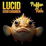 Lucid Echo Chamber Music