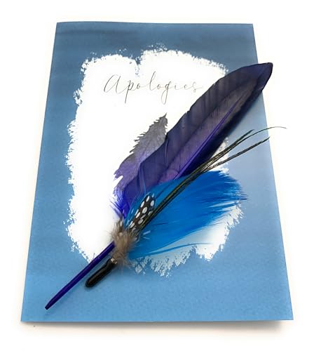 Smiling Wisdom - I'm Sorry Apologies Greeting Card and Two Symbolic Real Feathers in a Linen Box Gift Set - Beautiful Teaching Tool for Families - Blue Feather