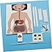 LIOOBO de Sistema Digestivo para 2 Juegos Educativos para Niños Kit de Manualidades Juguete para Digestión Imagen de LIOOBO de Sistema Digestivo para 2 Juegos Educativos para Niños Kit de Manualidades Juguete para Digestión