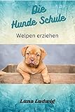 Die Welpenschule: Dein Welpen alle Kommandos beibringen
