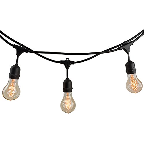 Bulbrite juego de luces decorativas de 14 pies, 10 focos con filamento en espiral transparente incandescente (A19), 1 artículo, color negro Cover