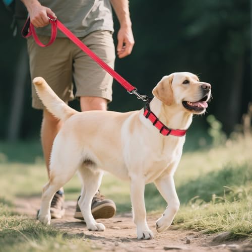 Joytale Reflective Dog Collar,Soft Neoprene Padded Breathable Nylon Pet Collar Adjustable for Large Dogs,Red,L - Image 7