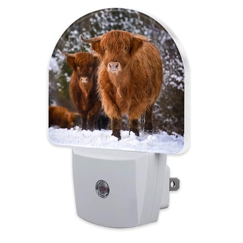 Image of Highland Cow Night Light for Kids, Winter Wild Animals Night Light Plug in with Dusk to Dawn Sensor, 0.5w Energy Saving Sleep Friendly Nightlight for Hallway Stairway Kitchen Bedroom