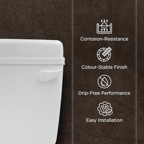 Image of Prayag Smart Flush PTMT 10 Litre Cistern for Indian & Western Toilet | Wall Mounted Cistern with Side Handle | 3-Years Manufacturer Warranty | Leak-Proof Toilet Flush Tank - (White)