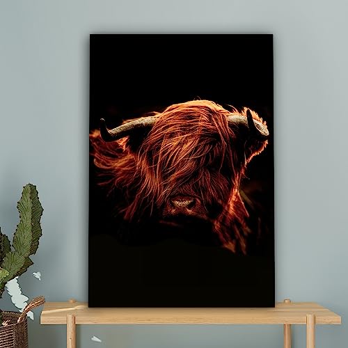 Tableaux décoratifs muraux vache Highlander 40x60 cm MuchoWow