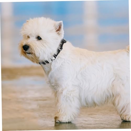 UPKOCH Perlenhalsband für Hunde und Katzen Verstellbares Design Weiches Pu-Material Edle Perlen und Kristall-Details für Kleine Hunderassen und Anlässe