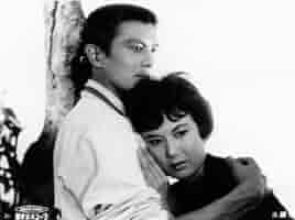 石井輝男 地帯(ライン)シリーズ コンプリートボックス、DVD-BOX セット Amazon.co.jp: 石井輝男 地帯 (ライン)シリーズ コンプリート