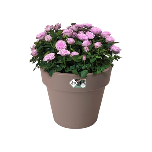 Pot de fleurs extérieur Elho Green Basics Ø47cm taupe - 5