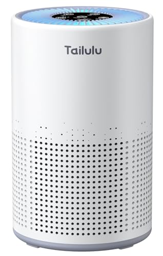 Air Purifiers for Bedroom Home Pets 1200 Ft², Tailulu H13 True HEPA Air Filter Portable Air Purifier with 12dB Sleep Mode, Speed Control, Timer, Quiet Air Cleaner For Odor Dust Smoke Pollen AP050