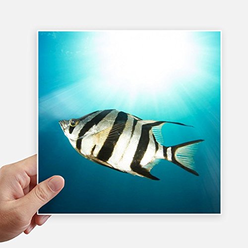Pegatinas de peces tropicales de 20cm cuadradas marinas para pared y maletas pack de 4 2