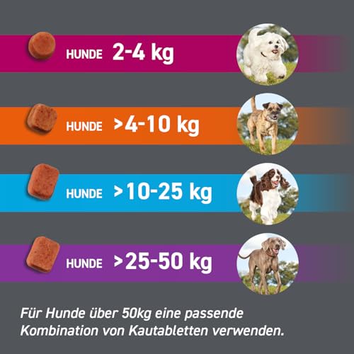 FRONTPRO Hund M - Kautablette gegen Zecken & Flöhe (Hunde 4 bis 10 kg) - 3X Kautabletten für 3 Monate Zecken- und Flohschutz