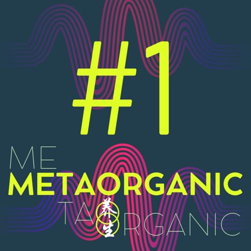 C'est quoi un méta-organisme ?