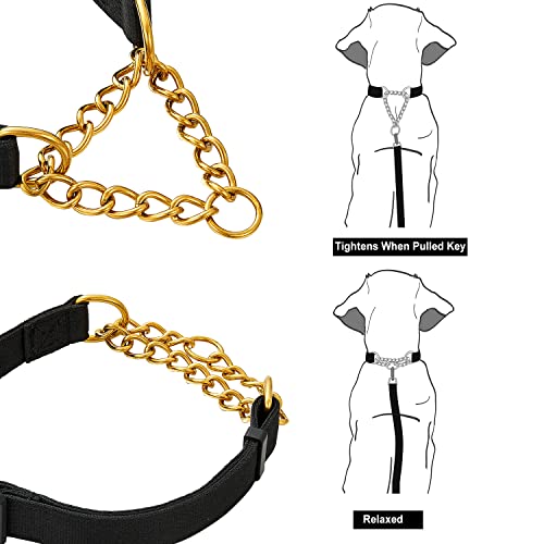 Dog Collar Martingale Collars With Release Buckle Chain Training Pet Collars Dog Nylon Martingale Collar With Stainless Steel Chain Adjustable Collar For Small Medium Dogs (Gold Chain, 22") #TOP4