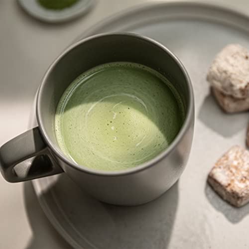 Té matcha espumoso bolsa 1 kg miniatura 4