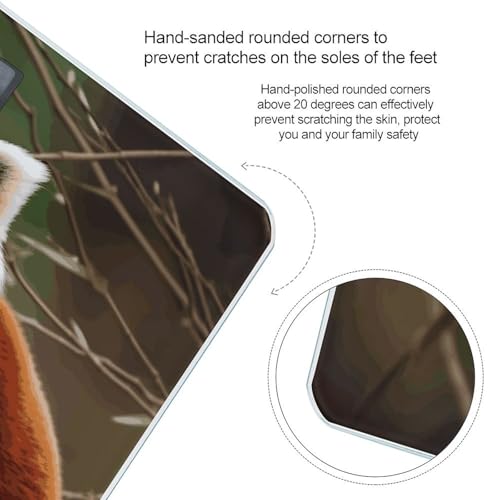 Báscula digital inteligente para baño con diseño Panda miniatura 4