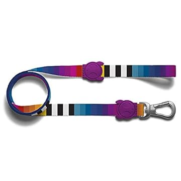 ZEE.DOG | Coleira para cães | Coleira elegante | Coleira macia com gancho que trava para segurança extra. (risma, pequena)