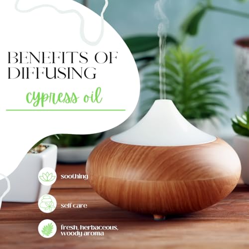 Aceite esencial puro Ciprés 5 ml en botella de vidrio miniatura 6