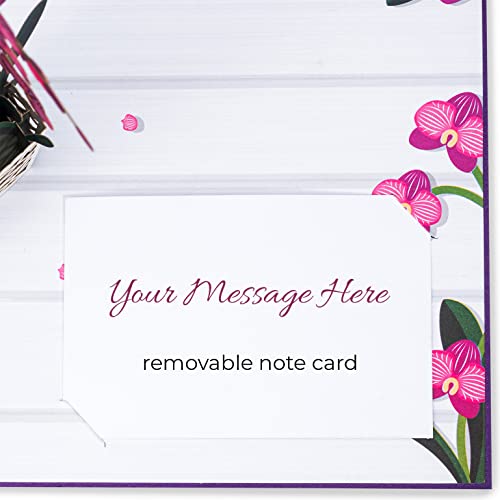 Paper Love 3D Pop Up Mother's Day Card, Orchids,Gift for Mothers Day, Birthday, Wedding, Anniversary, Thank You, Get Well, All Occasion - 5" x 7" Cover - Includes Envelope and Note Tag - Thumbnail 5